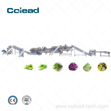 Industrial vegetable Processing line for Salad